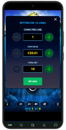 Big Bass Bonanza Game rate
