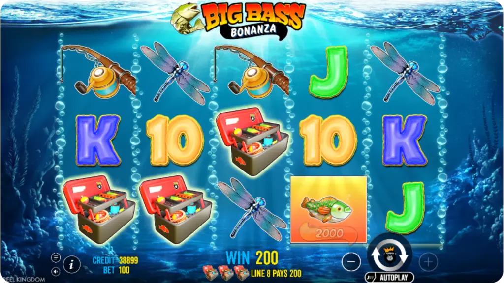 Big Bass Bonanza Bonus Features